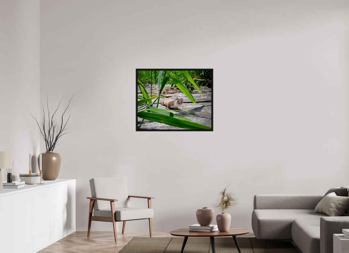 87,5 x 70 cm, Floater Frame Nieuwsgierigheid Wint - Wezel