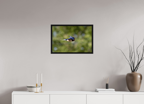 60 x 40 cm, Floater Frame Ik zie jou - Boerenzwaluw in vlucht