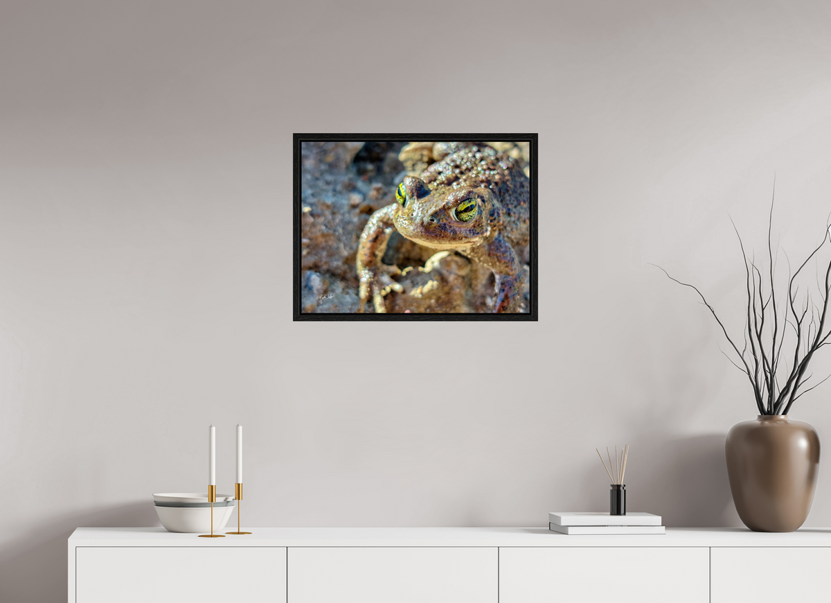 60 x 45 cm, Floater Frame Golden Eyes - Rugstreeppad