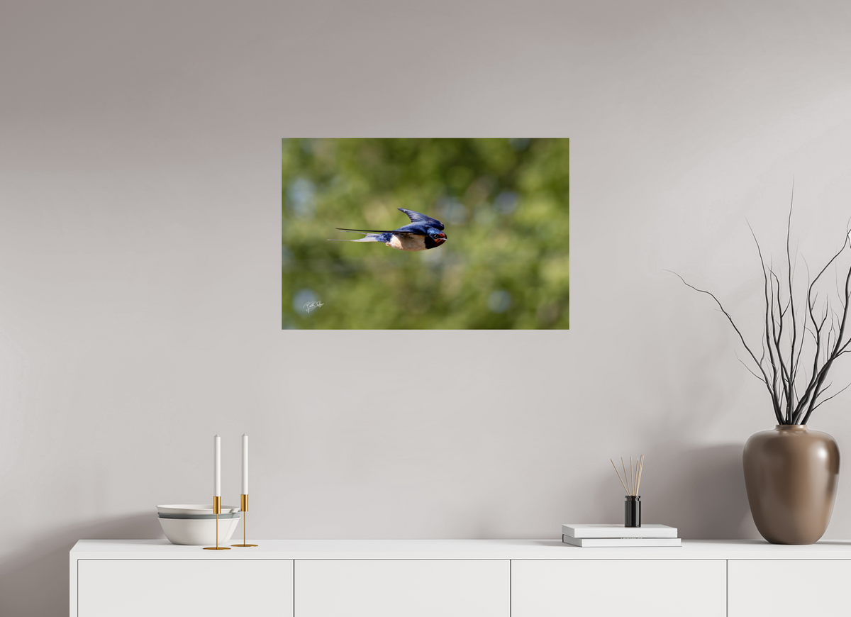75 x 50 cm, Photo Print On Fuji Crystal DP II Ik zie jou - Boerenzwaluw in vlucht