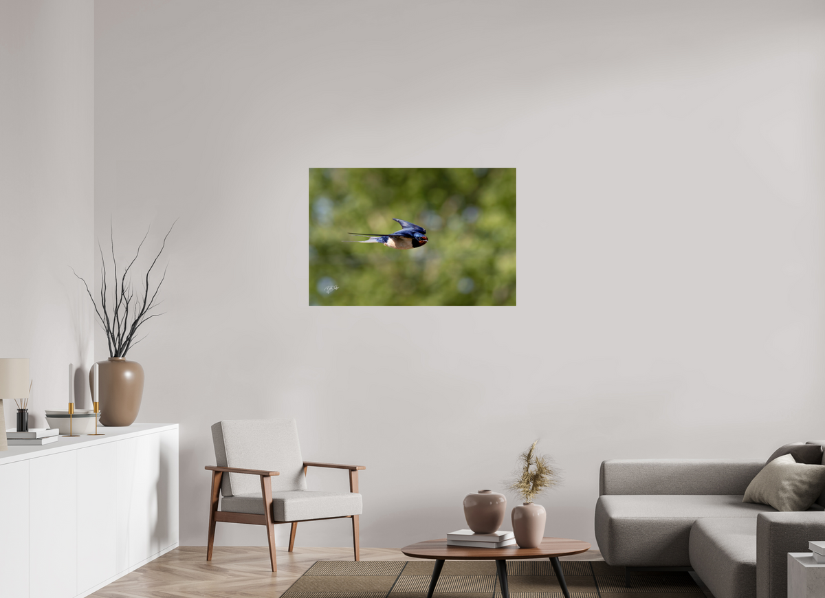 105 x 70 cm, Photo Print On Fuji Crystal DP II Ik zie jou - Boerenzwaluw in vlucht