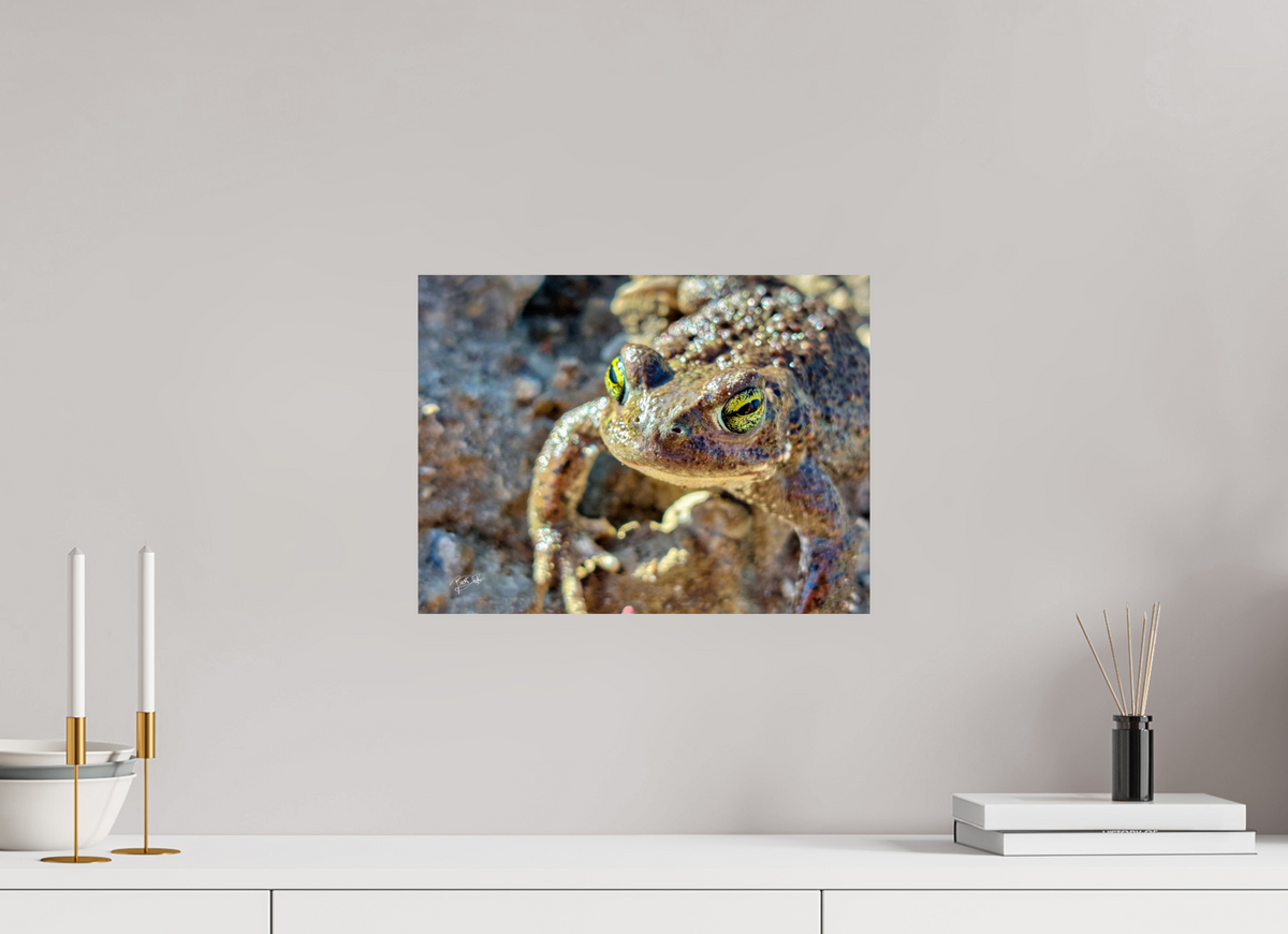 40 x 30 cm, Photo Print On Fuji Crystal DP II Golden Eyes - Rugstreeppad