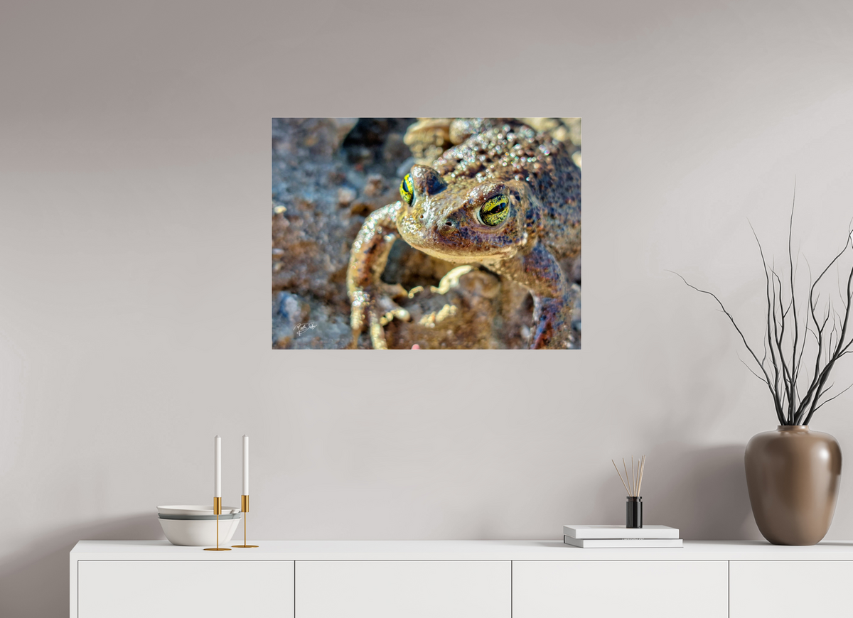 80 x 60 cm, Photo Print Under Acrylic Glass Golden Eyes - Rugstreeppad