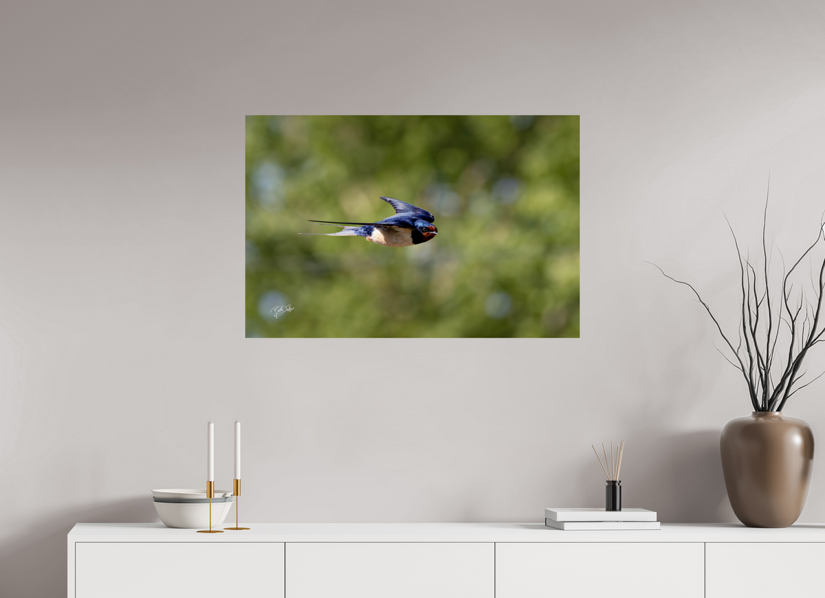 90 x 60 cm, Photo Print On Fuji Crystal DP II Ik zie jou - Boerenzwaluw in vlucht