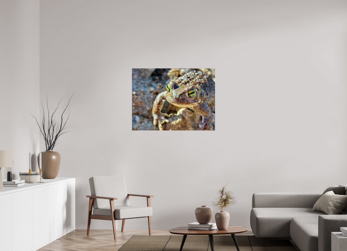 100 x 75 cm, Photo Print On Fuji Crystal DP II Golden Eyes - Rugstreeppad